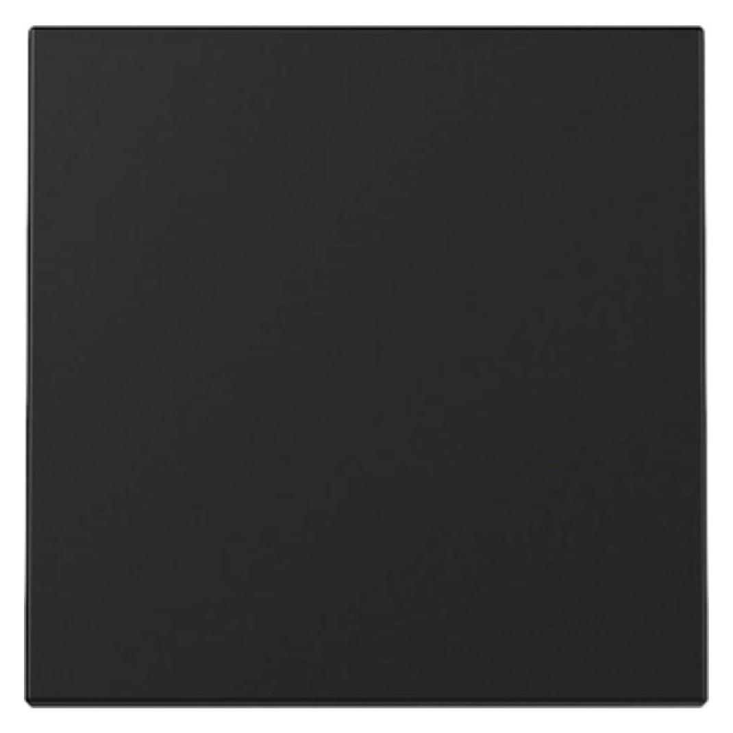 Gira Wippe System 55 Schwarz m 3296005 (3296005)