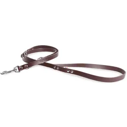 Martin Sellier 499 (Hund, Spazieren), Halsband + Leine