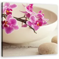 WANDBILD rosa orchideen vase