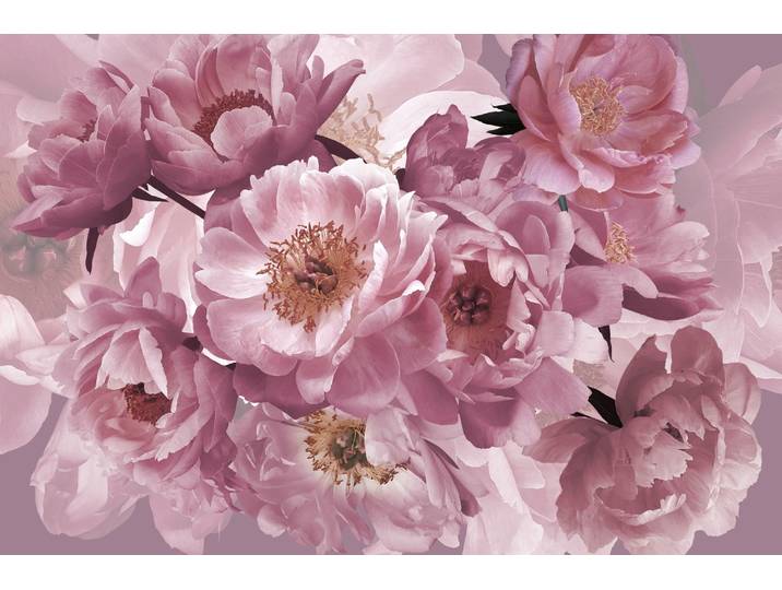 Fototapete PAPERMOON BLUMEN ABSTRAKT-MUSTER DESIGN ROSEN BLUMEN DECOR RETRO , bunt, B:4m L:2,6m, Vlies, Tapeten, Fototapete