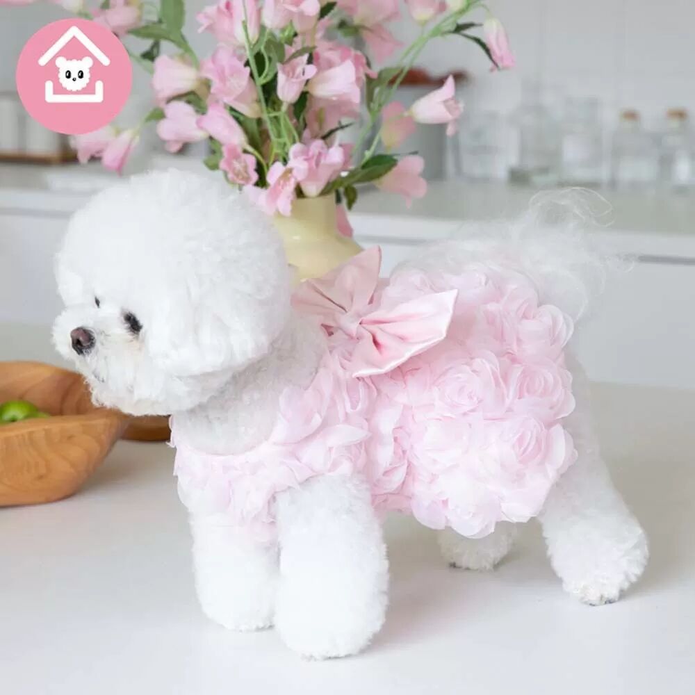 INF Elegantes Color-Block-Hundegeschirr-Kleid – Japanische & Koreanische Mode für Katzen & Hunde M Rosa