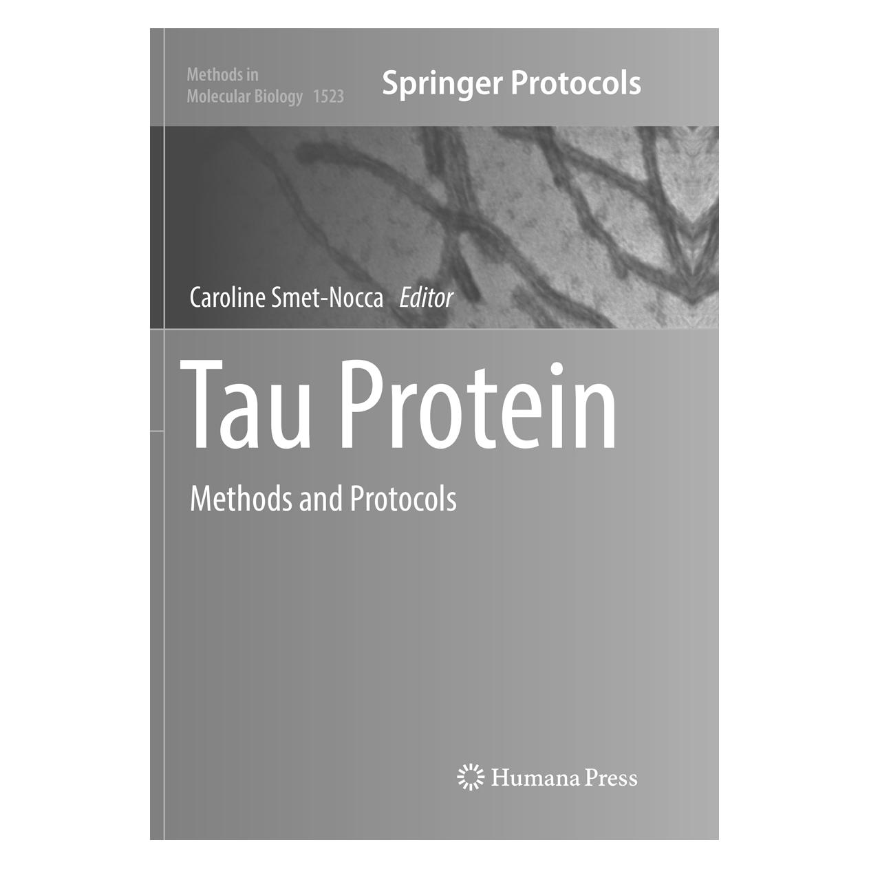 Springer Tau Protein (Englisch, Softcover, Caroline Smet-Nocca) (56009413)