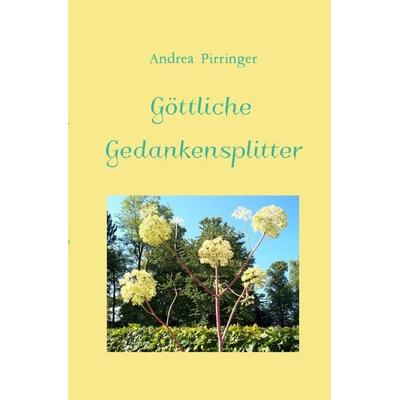 Göttliche Gedankensplitter, Taschenbuch von Andrea Pirringer, Epubli, 978-3-7485-0882-3