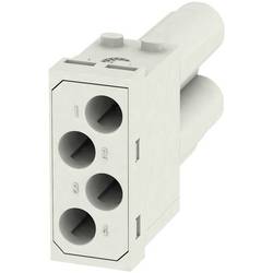 RockStar® ModuPlug, Rahmen HDC MF 10B AC Weidmüller Inhalt: 1 St. Rahmen 1428960000