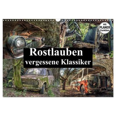 Rostlauben - vergessene Klassiker (Wandkalender 2027 DIN A3 quer), CALVENDO Monatskalender