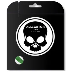 Tennissaite - BLACK SKULL - Alligator - 12 m