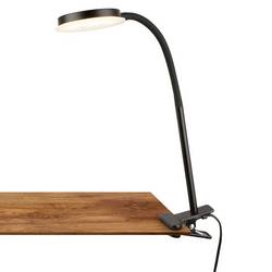 Briloner PLEGG 2195015 Klemmleuchte LED LED 3.2 W EEK: F (A - G) Schwarz
