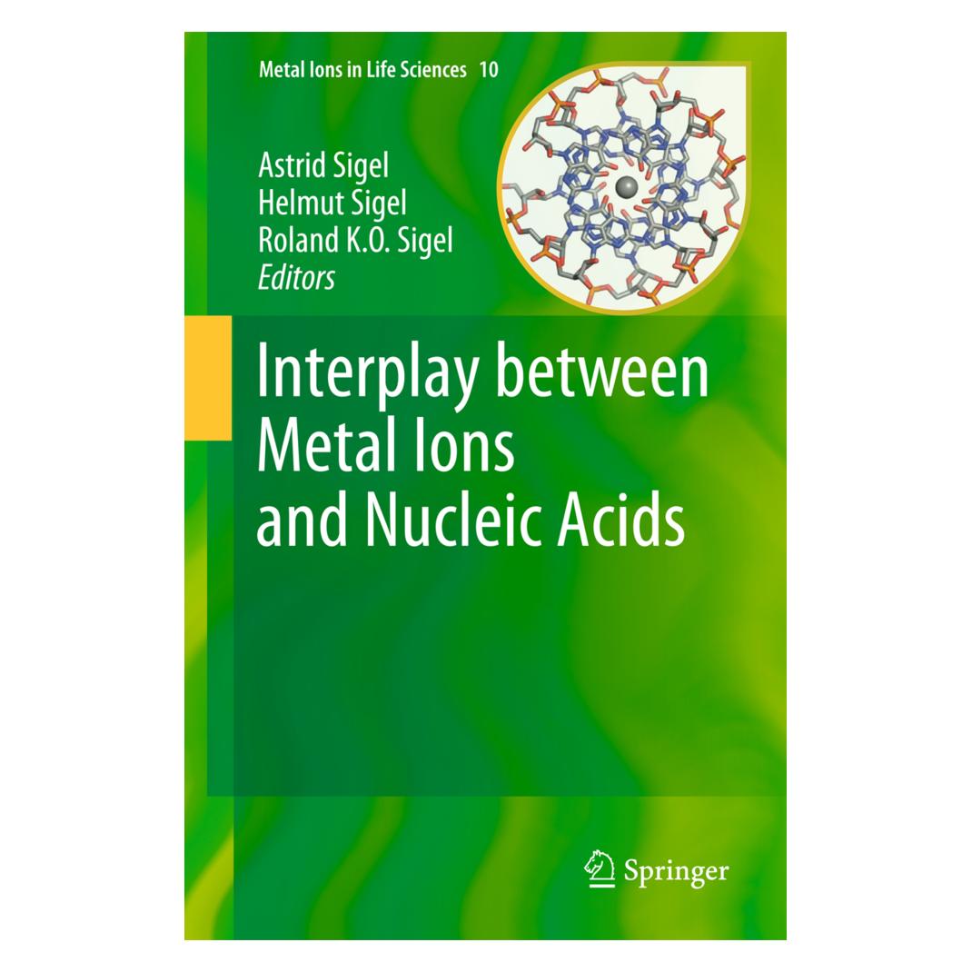 Springer Interplay between Metal Ions and Nucleic Acids (Englisch, Softcover, Astrid Sigel, Helmut, KO Sigel, Roland, Roland K.O. Sigel, Sigel) (55546506)