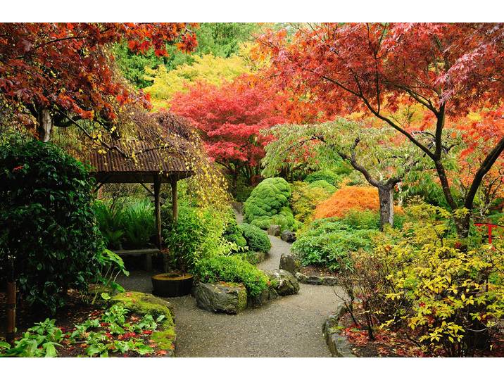 Fototapete PAPERMOON NATUR DESIGN-PFLANZEN GARTEN BÄUME WALD WANDTAPETE XXL , bunt, B:2,5m L:1,86m, Vlies, Tapeten, Fototapete
