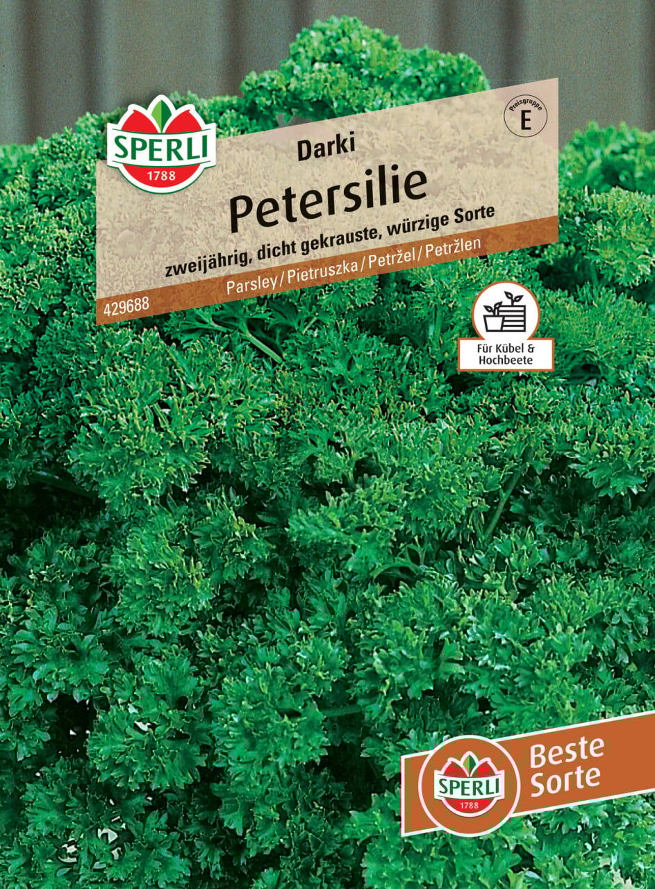 Sperli Petersilie Darki
