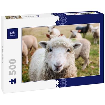 Lais Puzzle Schafe in Irland 500 Teile