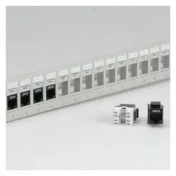 Roline 19"-Keystone-Modulträger, 24P., ungeschirmt, lichtgrau, Server Zubehör, Grau