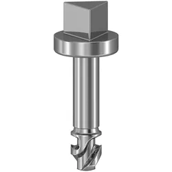 Schneider Electric NSYAEDSTSB DREIECK-SCHRAUBE SBM 3MM