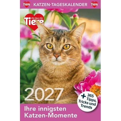 Katzen Tageskalender 2027