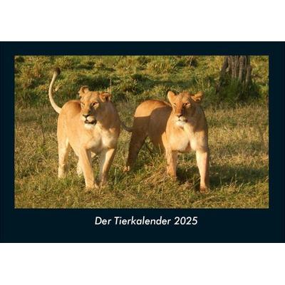 Der Tierkalender 2025 Fotokalender DIN A4