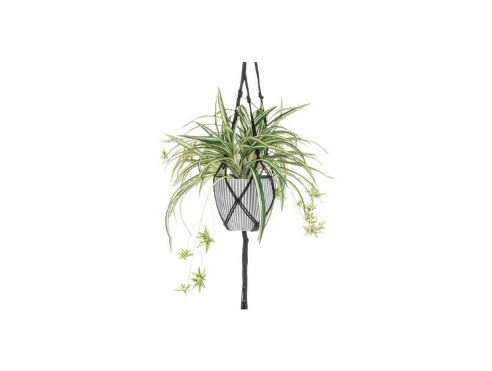 Hängepflanze im Topf, Grün, Kunststoff, 100 cm, Dekoration, Blumen & Blumentöpfe, Kunstblumen