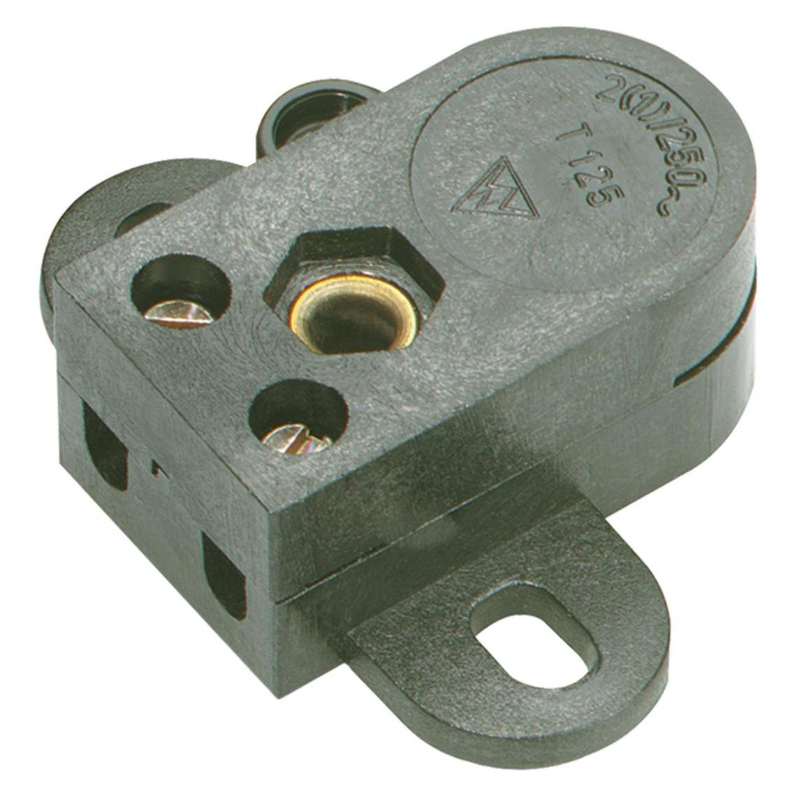 Bachmann 924.153 Elektroschalter Pull chain switch 1P Schwarz (924.153)