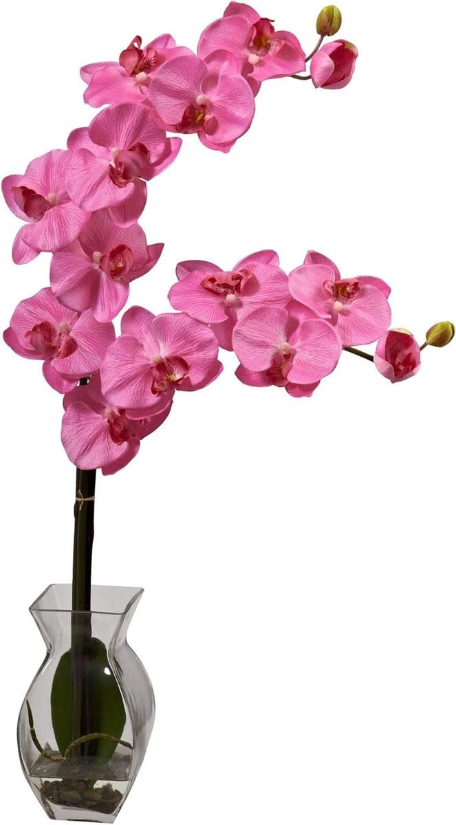 Donkerroze Phalaenopsis Nep Orchidee voor Woonkamer Decoratie, Hoogte: 61 cm