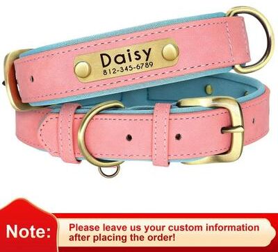 Uplift Essentials Customized PU Leather Nameplate Dog Collar Padded Comfort With Free Engraving pink l