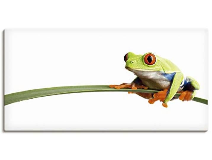 ARTLAND Wanddeko Leinwand Bilder Wandbild 60x30 cm Frosch Tiere Natur Pflanze Blätter Gräser T0OE