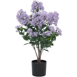 MCW, Kunstpflanzen, Q87 (64 cm)