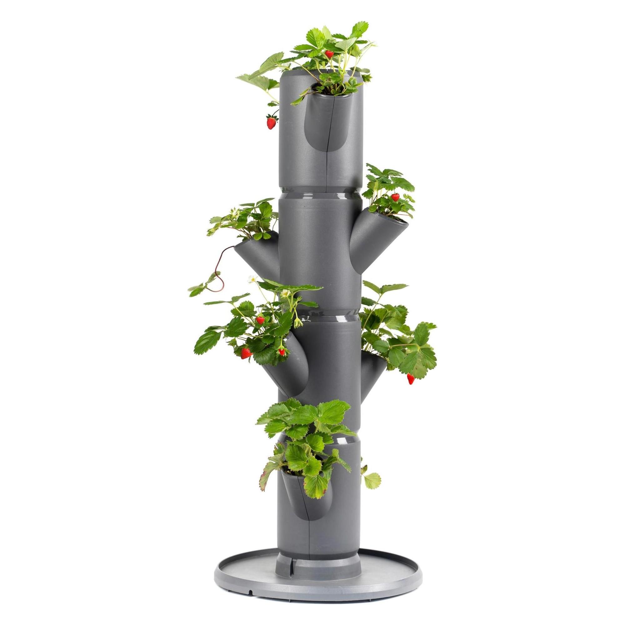 Gusta Garden Sissi Strawnerry (27 x 27 x 77 cm) (101569)