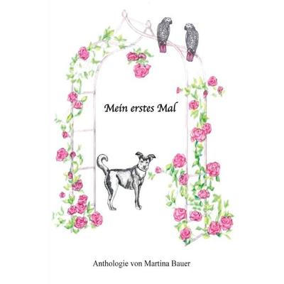 Mein erstes Mal, Taschenbuch von Martina Bauer, Epubli, 978-3-7575-2165-3