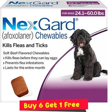 Nexgard For Large Dogs 24.1-60 Lbs (Purple) 68mg 6 Chews
