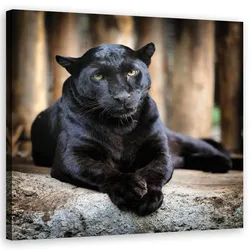 WANDBILD schwarzer panther