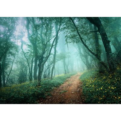 Papermoon "Misty Forest in Fog" glatt