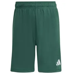 adidas Entrada 26 Shorts Kinder - team dark green/white - 176