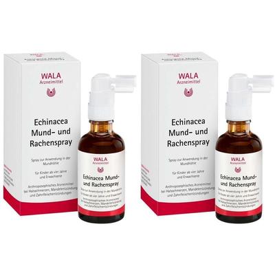 Echinacea Mund- und Rachenspray 2x 2x50 ml Spray