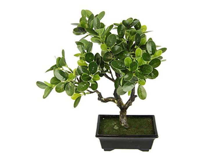 Bonsai Baum künstlich 35 cm Kunstbonsai in Schale Japanische Deko Pflanze Asiatischer Dekobaum mit detailreichem Blattwerk, verzweigtem Stamm und dekorativem Pflanzgefäß für stilvolle Wohnakzente