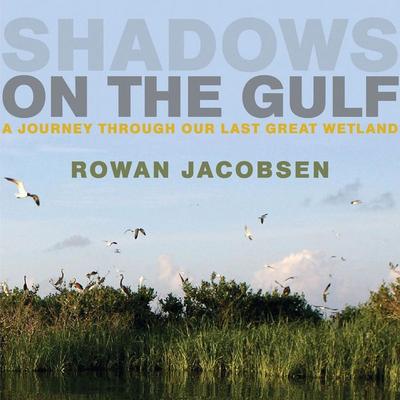 Shadows on the Gulf - Rowan Jacobsen, Audio, 9798260202562