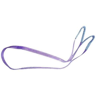 Target Ladungssicherung 90499 Hebeband Arbeitslast (WLL)=1 t Violett