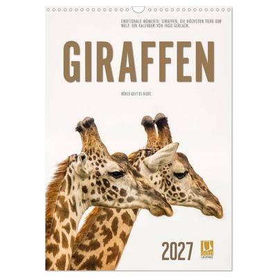 Emotionale Momente: Giraffen, die höchsten Tiere der Welt. (Wandkalender 2027 DIN A3 hoch), CALVENDO Monatskalender