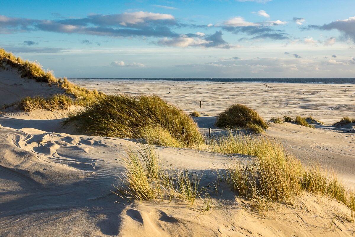 Fototapete PAPERMOON "DÜNEN-AMRUM NORDSEE STRAND MEER INSEL HOLSTEIN GRAS XXL", bunt, B:3,5m L:2,6m, Vlies, Tapeten, Fototapete bunt B/L: 3,5m x 2,6m, Bahnen: 7 Stk.