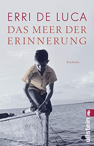 Erri De Luca - Das Meer der Erinnerung: Roman - Preis vom 12.10.2026 11:37:12 h
