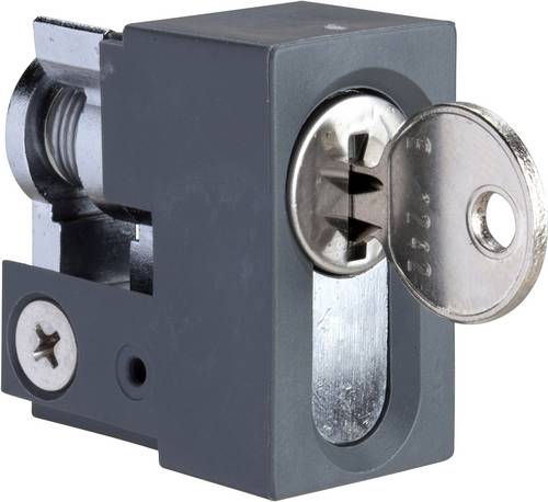 Schneider Electric NSYIN1242E2 Schneider NSYIN1242E2 SF/SM Schloss Verriegelung 1St.