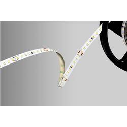 Barthelme 51542233 LED-Streifen 24 V 5000 mm Weiß 5 m