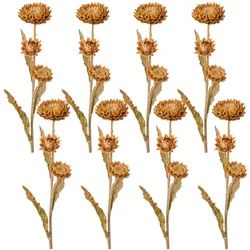 CREATIV green künstliche Pflanze Strohblume, 61cm, cognac, 8er Set