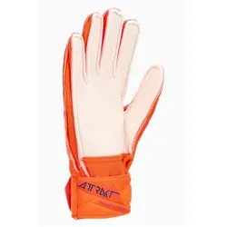 Reusch, Torwarthandschuhe, (4)
