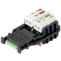 Weidmüller 1992920000 RJ45-Steckverbinder RJ45 Stecker 30 St. Piece