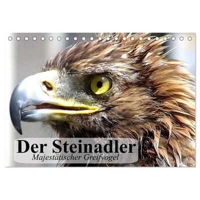 Der Steinadler. Majestätischer Greifvogel (Tischkalender 2027 DIN A5 quer), CALVENDO Monatskalender