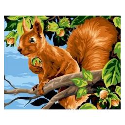 Koh-i-Noor Malen nach Zahlen 40x50cm Eichhörnchen (65455368)