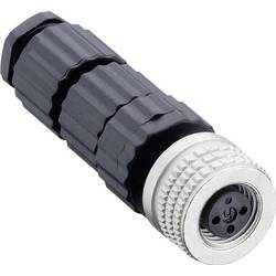 Hirschmann 933 366-100-100 Leitungsdose Schwarz ELKA 3008 V Ausführung (allgemein) gerade 100 St.