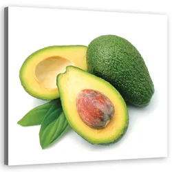 WANDBILD avocado früchte