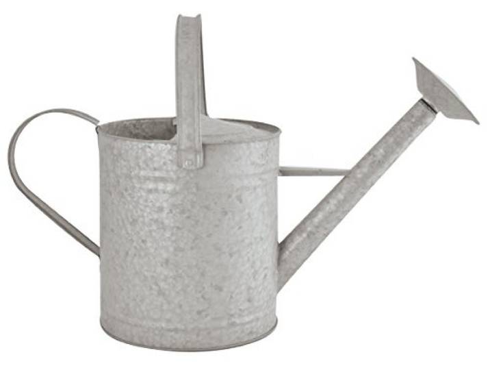 Esschert Zink Gieter, 5 liter, Grijs (Zink)