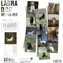 Martin Sellier, Kalender, Labrador