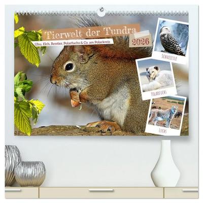 Tierwelt der Tundra (hochwertiger Premium Wandkalender 2026 DIN A2 quer), Kunstdruck in Hochglanz